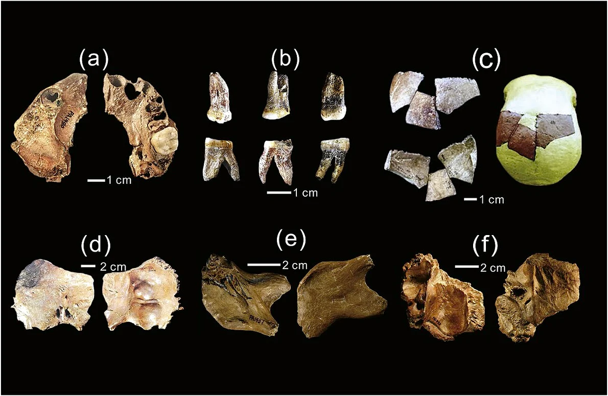 Fosile umane descoperite în site-ul arheologic de la Xujiayao 