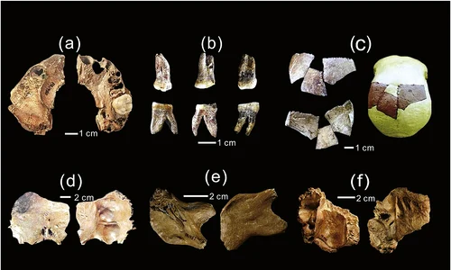 Fosile umane descoperite în site-ul arheologic de la Xujiayao 