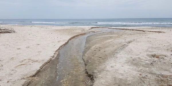 Ape uzate deversate in Mare FOTO Politia Locala Constanta