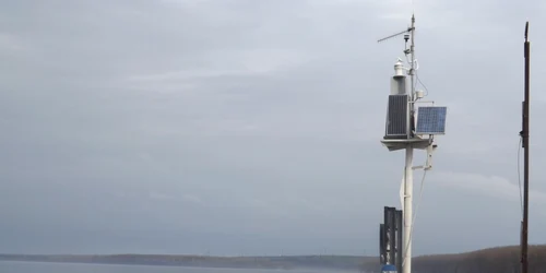 cod portocaliu pe dunare in mehedinti FOTO Corina Macavei 