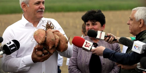 Liviu Dragnea cu cartofi in mana foto facebook / liviu dragnea
