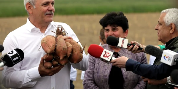 Liviu Dragnea cu cartofi in mana foto facebook / liviu dragnea