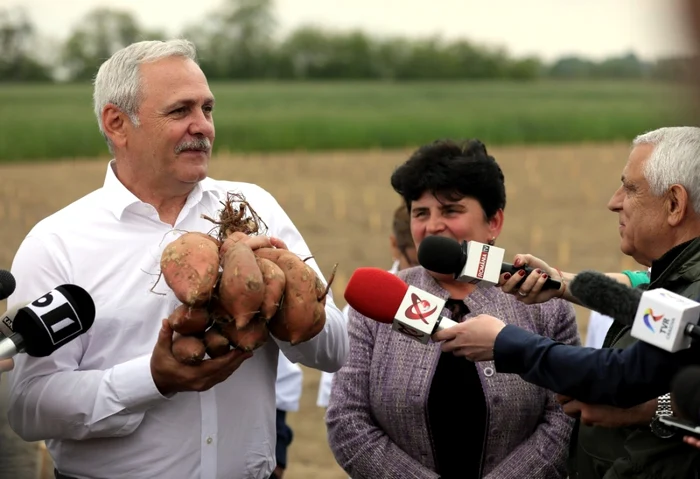 Potrivit lui Dragnea, succesul agricultorilor români este datorat programelor PSD FOTO Facebook