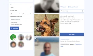 "Dacă mă iei acasă, promit să te fac fericit/ă!" jpeg