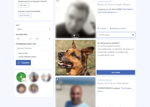 "Dacă mă iei acasă, promit să te fac fericit/ă!"