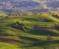 muntii padurea craiului