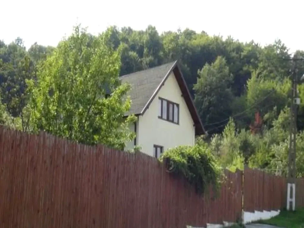 Așa arată casa lui Florin Călinescu din satul Babana, județul Argeș / foto: wowbiz.ro