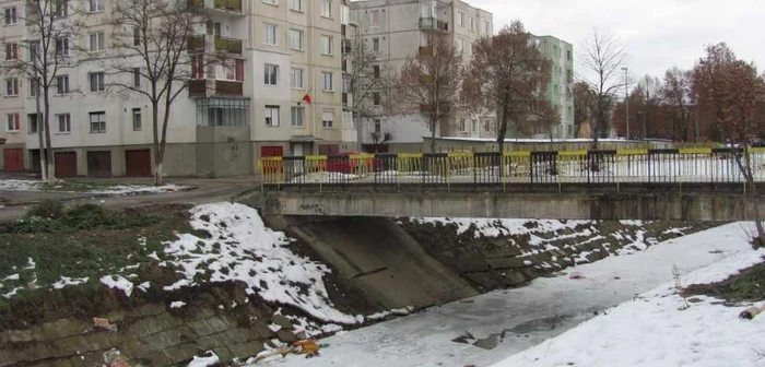 Mureşenii şi-au aruncat gunoaiele în pârâul Pokloş