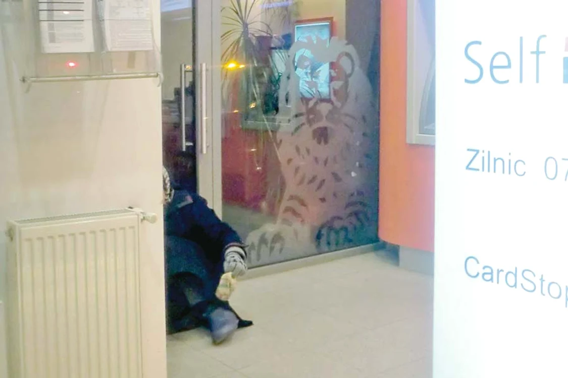 Cina bătrânei a  constat într-o coajă  uscată de portocală