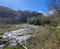 Valea pârâului Nucșoara , Pietrele din Retezat Foto Daniel Guță ADEVĂRUL (5) jpg
