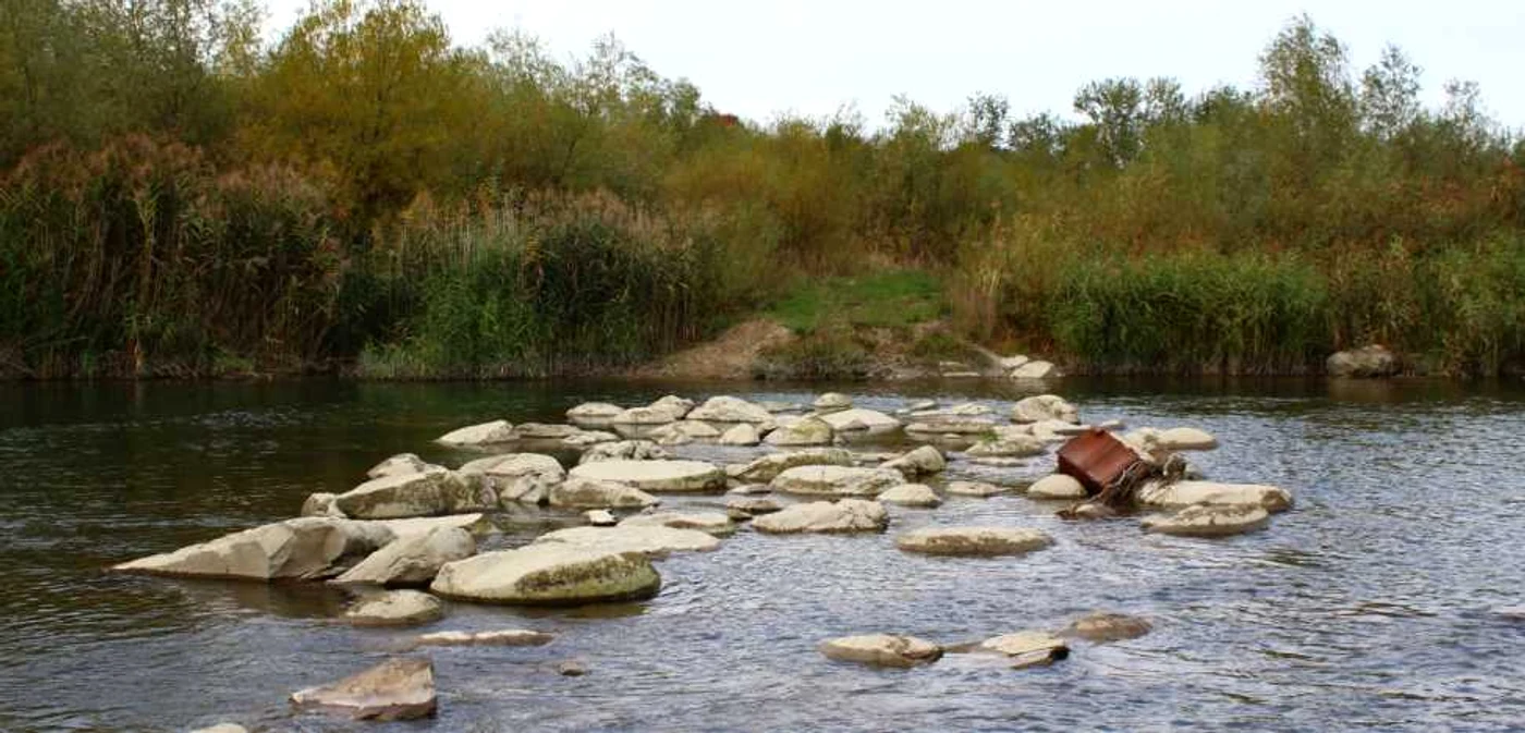 Ținutul Buzăul este plin de dovezi ale existenței mării Paratethys. SURSA Arhivă