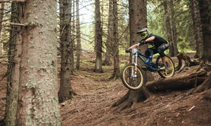 Progression Session este deschis pentru toți riderii ce au 14 ani împliniți Evenimentul este înscris în calendarul concursurilor de downhill al Federației Române de Ciclism jpeg