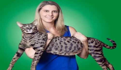 Savannah  jpeg