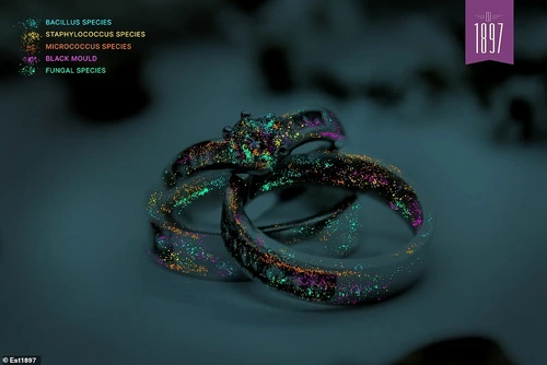 7 bijuterii contaminate jpg jpeg