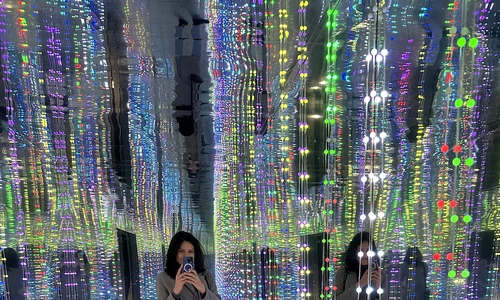 Infinity Room Art Safari jpg