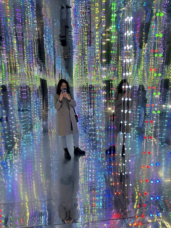 Infinity Room Art Safari jpg