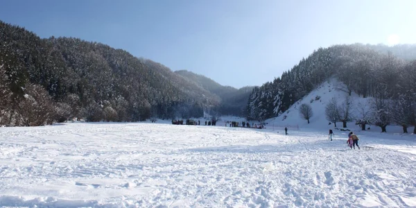 Pe singura pârtie de schi din judet, de la Perişani, zăpada a început să se topească