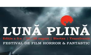Cadru rustic, lună plină jpeg