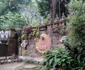 Thailanda vacanta bistrita 36