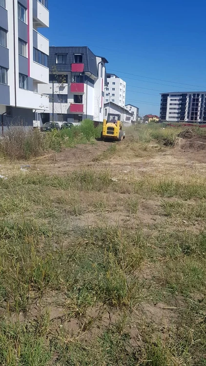 În cazul focarelor de ambrozie se intervine și cu utilaje mai mari