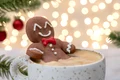 Test de personalitate  Ce rasfat dulce de Craciun esti  Sursa foto shutterstock 2224909169 jpg