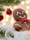 Test de personalitate  Ce rasfat dulce de Craciun esti  Sursa foto shutterstock 2224909169 jpg