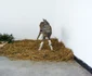 Rudolf