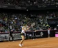 Simona Halep Irina Begu FedCup