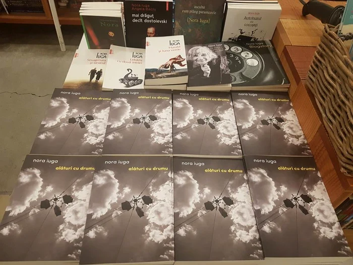 alaturi cu drumu_Nora Iuga