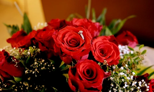 1 zodii care se casatoresc in 2020 jpg jpeg