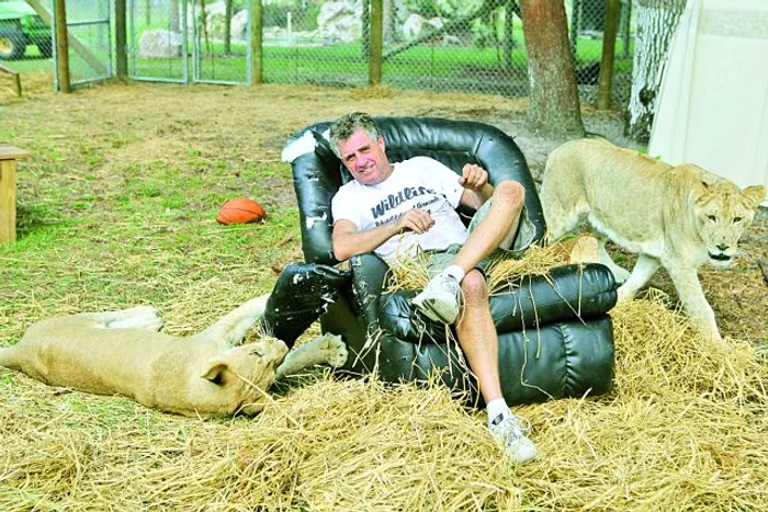 Animalele adoră joaca alături de stăpânii lor