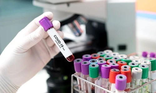 1 shutterstock 1668158461 jpg jpeg