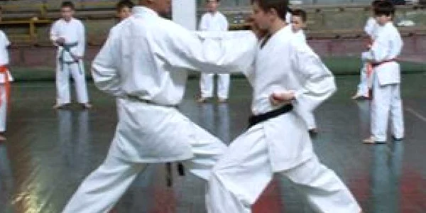 Maestrul emerit Mihai Hanga va susţine stagiul de pregătire. FOTO: http://www.jkarate.ro