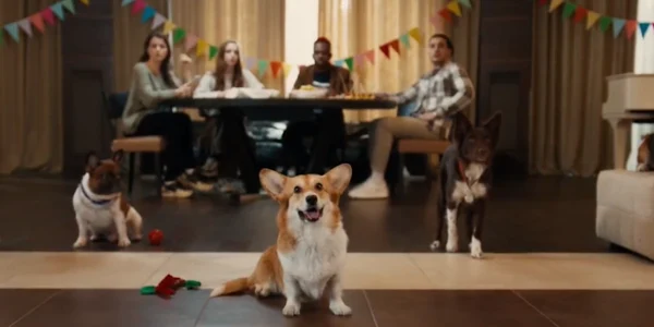 videoclip ambasada Rusiei din Franta foto captura