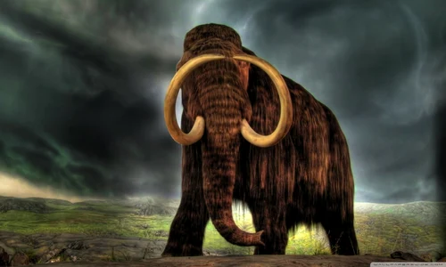 mamut jpeg