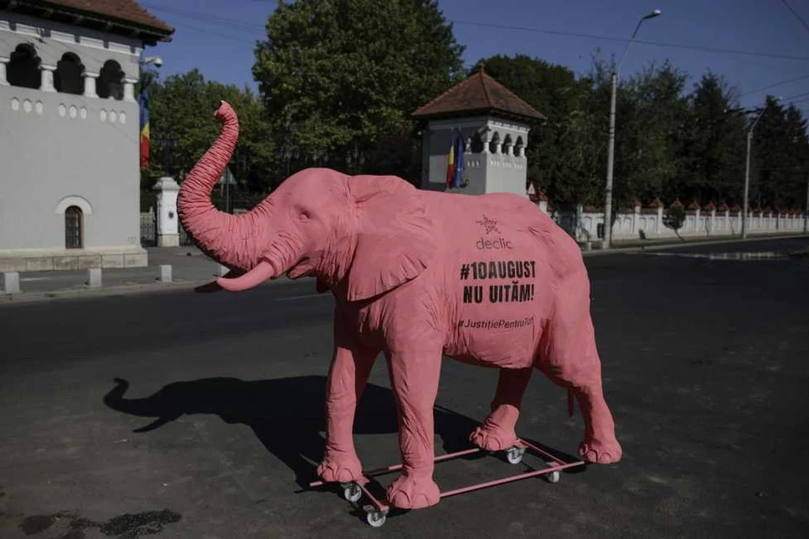 elefant roz 10 august palatul cotroceni. FOTO Inquam Photos/Octav Ganea