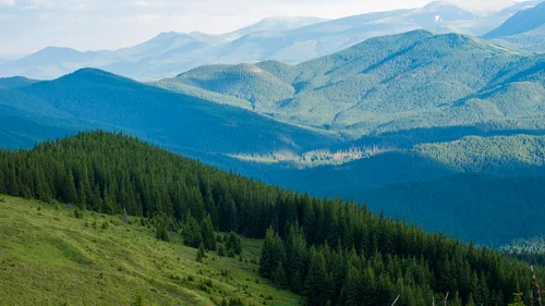 Cea mai sălbatică vale a Europei - pădurile virgine din Boişoara Vâlcea din Munţii Făgăraş Foto Adevărul