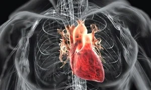 Aşa arată o inimă scoasă la imprimanta 3D jpeg