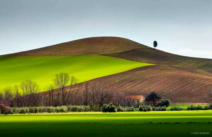 fotografii italia foto ionut burloiu