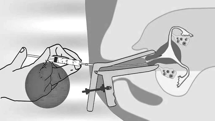 
    Deși a născut-o pe Maya, Bianca îi este doar mătușă   