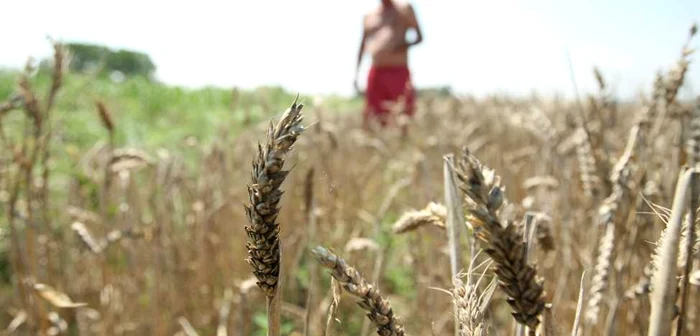 Agricultorii gălăţeni sunt disperaţi 