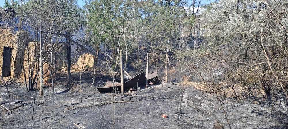 Incendiul de la Chilia Veche a fost lichidat. Peste 1.300 de hectare de vegetaţie uscată, afectate