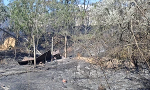 Incendiul de Chilia Veche a fost lichidat FOTO DSU jpg