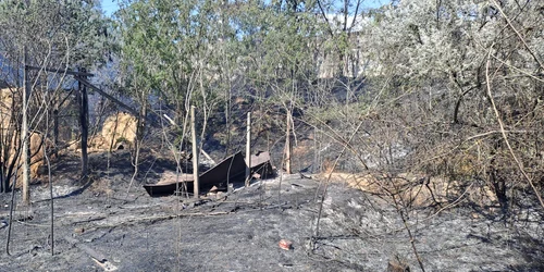 Incendiul de Chilia Veche a fost lichidat FOTO DSU jpg