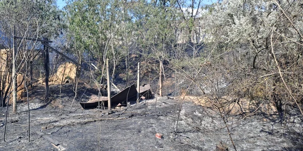 Incendiul de Chilia Veche a fost lichidat FOTO DSU jpg