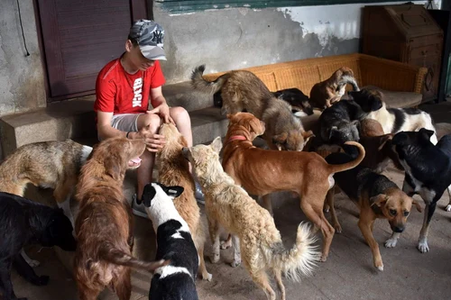 Costi Țitirigă orfanul din Vâlcea poreclit salvatorul animalelor Foto Arhiva personală jpg