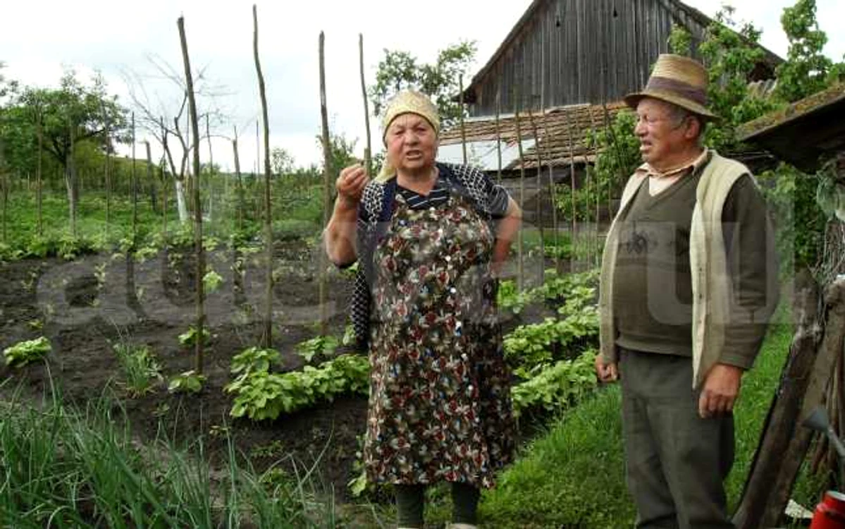Valeria Valea din comuna bistriţeană Lechinţa nu a vrut să-şi dea 
pământul la colectiv pe vremea comuniştilor. Aceştia au răspândit zvonuri despre ea că e leneşă şi i-au făcut 
chiar şi o caricatură pe care au publicat-o în ziar    FOTO: Florina 
Pop, 2010