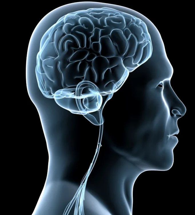 Fosforul ajută la întărirea membranelor celulare și a neuronilor, precum și la o mai bună memorie.www.clicksanatate.ro