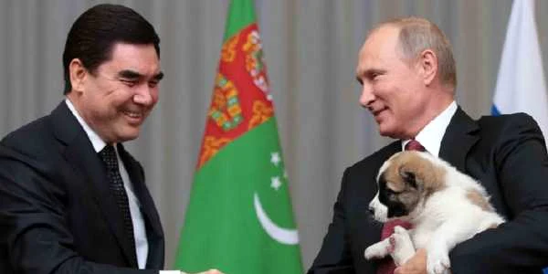 Berdimuhamedov