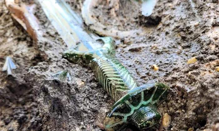 Sabie din Epoca Bronzului, descoperită în stare aproape perfectă de conservare (© Bronzezeitliches Schwert aus Nördlingen; Archäologie-Büro Dr. Woidich)